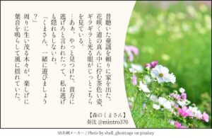 森のくまさん